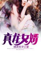 真龍女婿