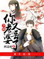 少帥，你老婆又丟了