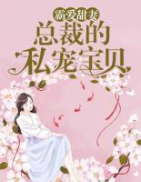 霸愛甜妻：總裁的私寵寶貝
