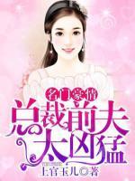 名門豪情：總裁前夫太兇猛