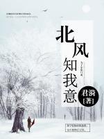 北風(fēng)知我意