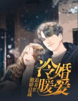 冷婚暖愛：傲嬌總裁追妻忙