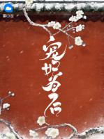 寵妃為后
