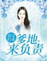 雙寶歸來：爹地，來負(fù)責(zé)