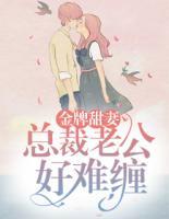 金牌甜妻：總裁老公好難纏