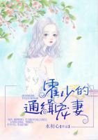 霍少的通緝寵妻