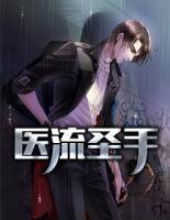 醫(yī)流圣手