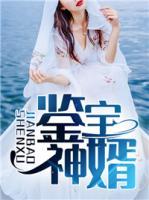 鑒寶神婿