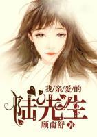 我親愛的陸先生
