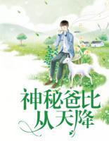 神秘爸比從天降