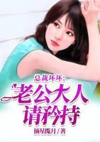 總裁壞壞：老公大人請矜持