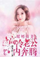 暖婚萌妻：高冷老公內奔騰