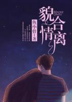 貌合情離