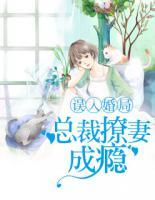 誤入婚局：總裁撩妻成癮
