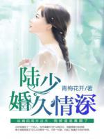 陸少，婚久情深