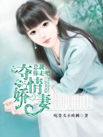 奪情嬌妻：總裁，你走吧