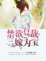 禁欲總裁：三嫁為寶
