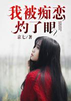 我被癡戀灼了眼