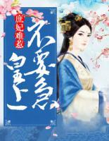 庶妃難惹：皇上，不要急
