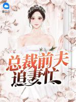 總裁前夫追妻忙