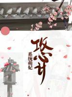 系統(tǒng)萌妃攻心計(jì)