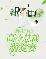 禍從口出：高冷總裁溺愛妻