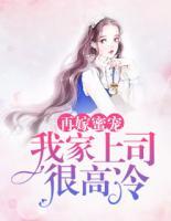 再嫁蜜寵：我家上司很高冷