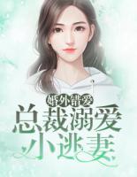 婚外錯愛：總裁溺愛小逃妻