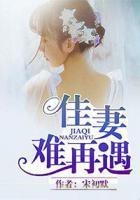 佳妻難再遇