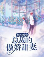 契約婚寵：總裁的傲嬌甜妻