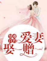 情難自控：愛妻娶一贈一