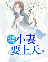 總裁難寵：小妻要上天