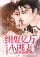 緝?nèi)|萬(wàn)小逃妻