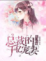 名門閃婚：總裁的千億寵妻