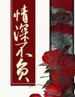 情深不負