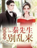 婚路漫漫：秦先生，別亂來(lái)！