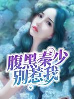 腹黑秦少別惹我