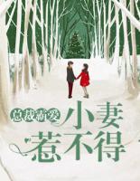 總裁霸愛：小妻惹不得