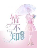 情不知所蹤