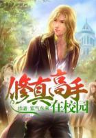 修真高手在校園
