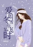 愛(ài)如冬雪紛飛時(shí)
