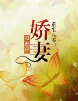 重生八零：嬌妻很彪悍