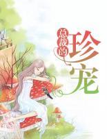 總裁的珍寵