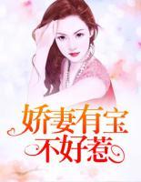 嬌妻有寶不好惹