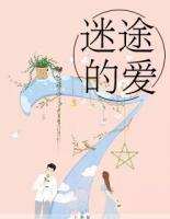 迷途的愛