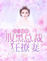 名門暖婚：腹黑總裁狂撩妻