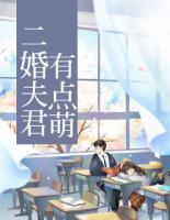 二婚夫君有點(diǎn)萌