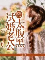 蜜愛百天：試婚老公太腹黑