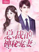 總裁的神秘寵妻