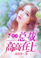 婚劫：總裁高高在上